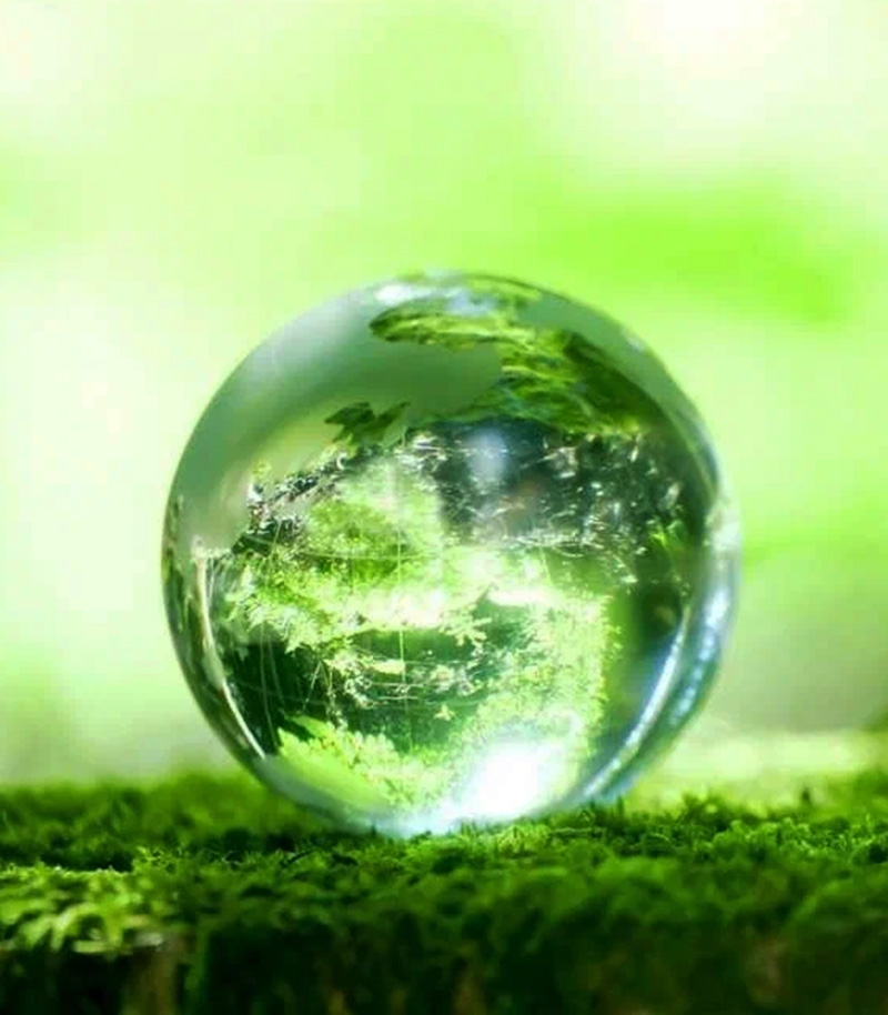 Cumplimiento Ambiental Operamos bajo normativas vigentes para un planeta más limpio.