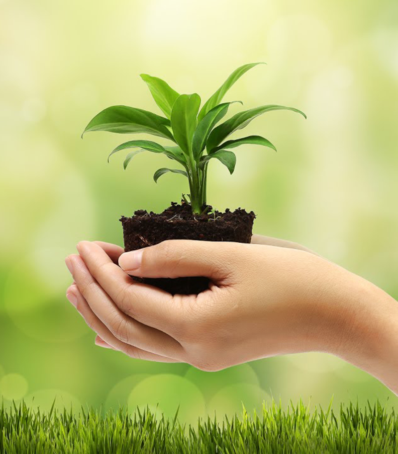 Cumplimiento Ambiental Operamos bajo normativas vigentes para un planeta más limpio.