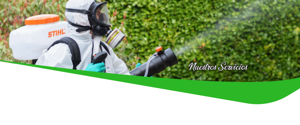 Servicios - Multisel SAC
